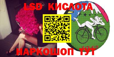 прущие крисы Моздок