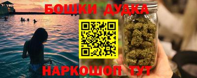 ГАЛЛЮЦИНОГЕННЫЕ ГРИБЫ Можга