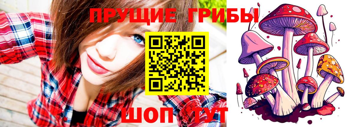 Галлюциногенные грибы мицелий Дальнегорск